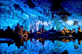 世界体操单项赛评委研讨会成果发布，世界体操2021